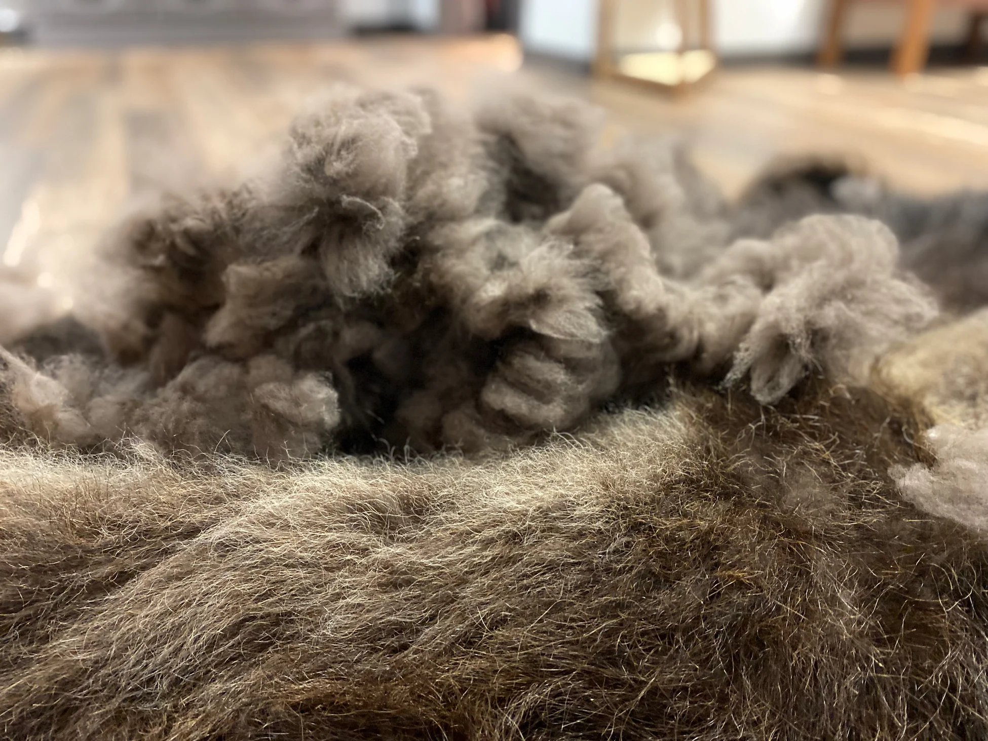 Welcome to Our Store